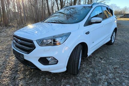 Ford Kuga Gebrauchtwagen