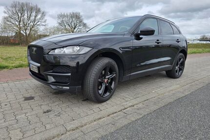 Jaguar F-Pace Gebrauchtwagen