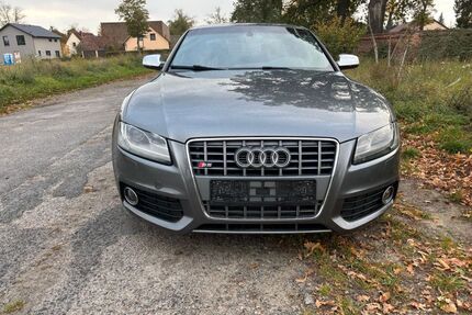 Audi S5 Gebrauchtwagen