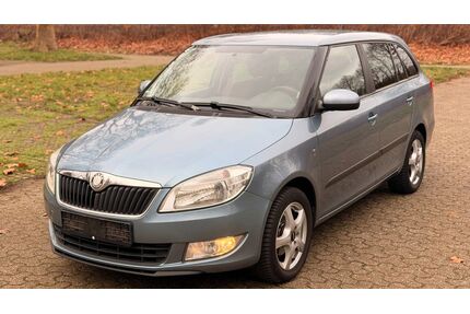 Skoda Fabia Gebrauchtwagen