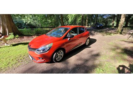 Renault Clio Gebrauchtwagen
