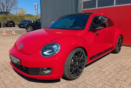 VW Beetle Gebrauchtwagen