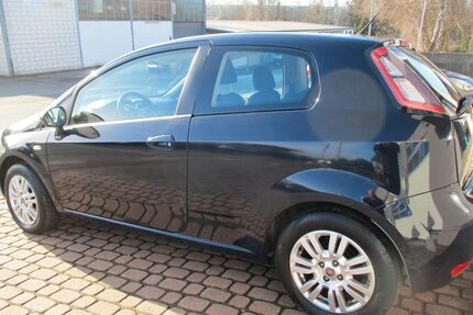Fiat Punto Gebrauchtwagen