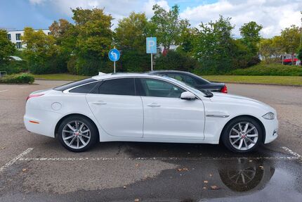 Jaguar XJ Gebrauchtwagen