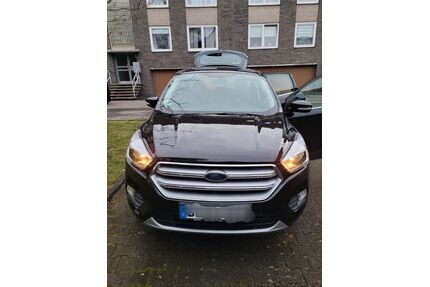 Ford Kuga Gebrauchtwagen