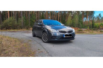 Kia ceed / Ceed Gebrauchtwagen