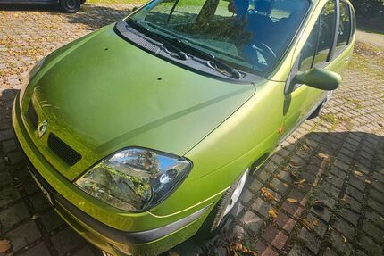 Renault Scenic Gebrauchtwagen