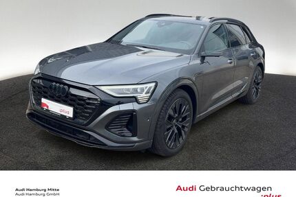 Audi Q8 e-tron Gebrauchtwagen