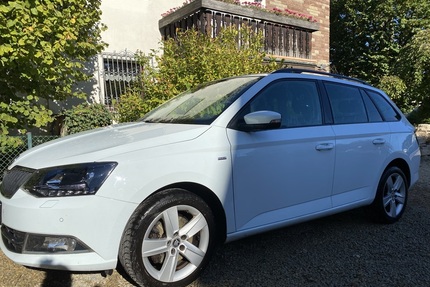 Skoda Fabia Gebrauchtwagen