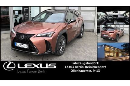 Lexus UX Gebrauchtwagen