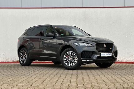 Jaguar F-Pace Gebrauchtwagen