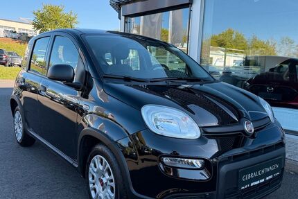 Fiat Panda Gebrauchtwagen