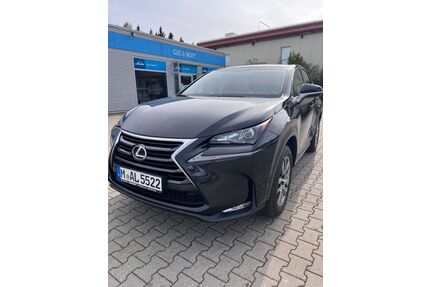 Lexus NX 300 Gebrauchtwagen