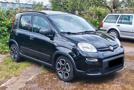 Fiat Panda Gebrauchtwagen