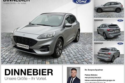 Ford Kuga Gebrauchtwagen