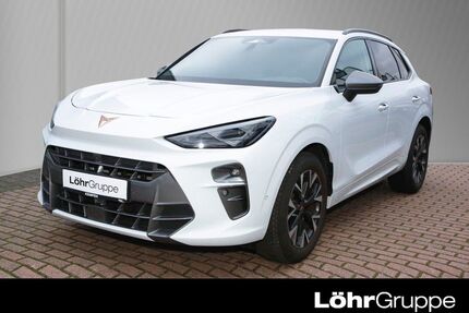 Cupra Terramar Gebrauchtwagen