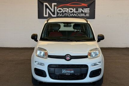 Fiat Panda Gebrauchtwagen