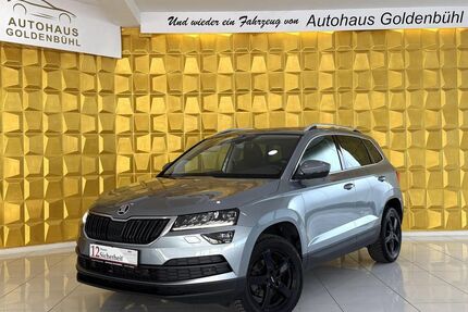 Skoda Karoq Gebrauchtwagen