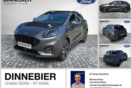 Ford Puma Gebrauchtwagen