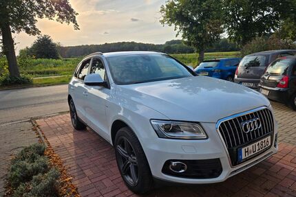 Audi Q5 Gebrauchtwagen