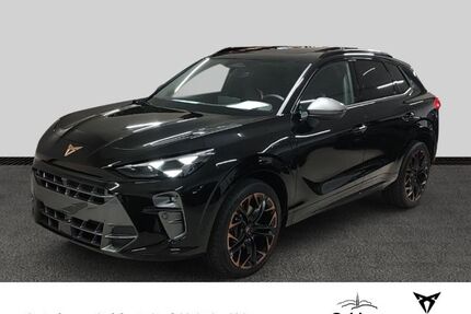Cupra Terramar Gebrauchtwagen