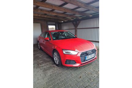 Audi A5 Gebrauchtwagen