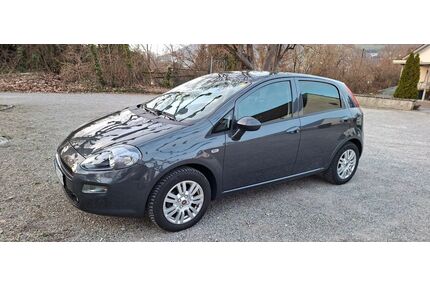 Fiat Punto Gebrauchtwagen