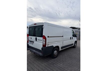 Fiat Ducato Gebrauchtwagen