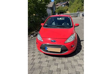 Ford Ka/Ka+ Gebrauchtwagen
