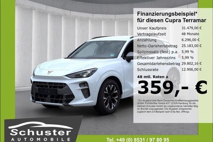 Cupra Terramar Gebrauchtwagen