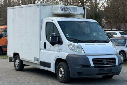 Fiat Ducato Gebrauchtwagen