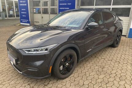 Ford Mustang Mach-E Gebrauchtwagen