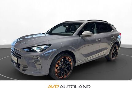 Cupra Terramar Gebrauchtwagen
