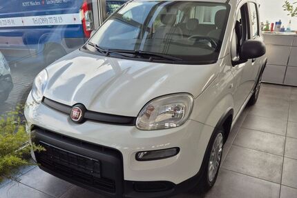 Fiat Panda Gebrauchtwagen