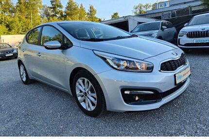 Kia ceed / Ceed Gebrauchtwagen