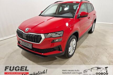 Skoda Karoq Gebrauchtwagen