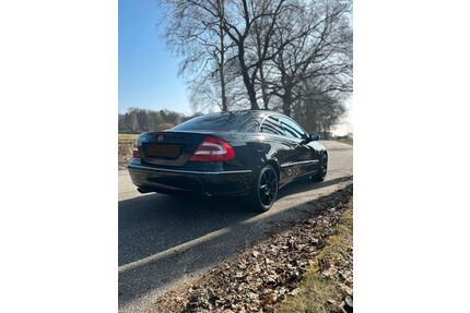 Mercedes-Benz CLK 500 Gebrauchtwagen
