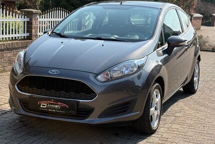 Ford Fiesta Gebrauchtwagen