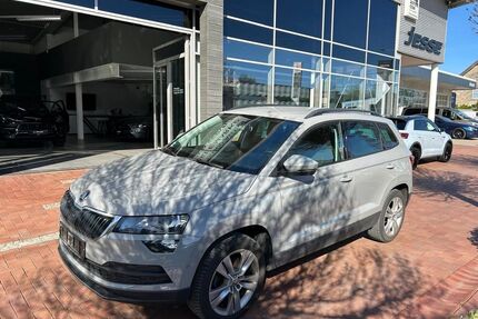 Skoda Karoq Gebrauchtwagen
