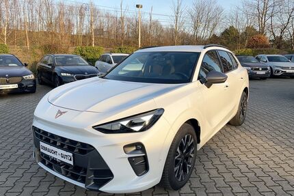 Cupra Terramar Gebrauchtwagen