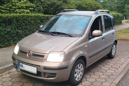 Fiat Panda Gebrauchtwagen