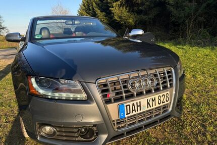 Audi S5 Gebrauchtwagen