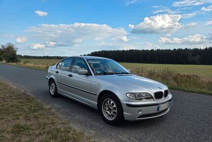 BMW 318 Gebrauchtwagen