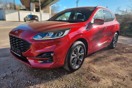 Ford Kuga Gebrauchtwagen