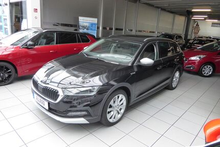 Skoda Octavia Gebrauchtwagen