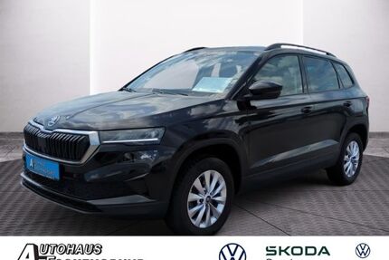 Skoda Karoq Gebrauchtwagen