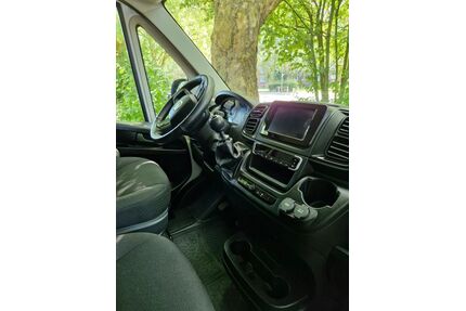 Fiat Ducato Gebrauchtwagen