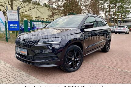 Skoda Karoq Gebrauchtwagen