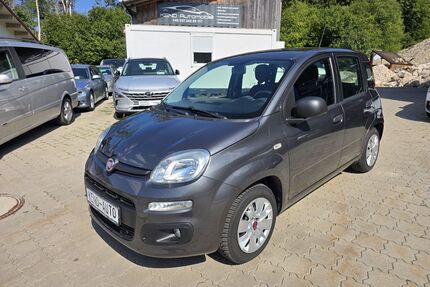 Fiat Panda Gebrauchtwagen