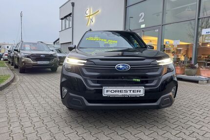 Subaru Forester Gebrauchtwagen